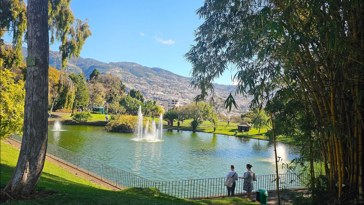 2026 March 1st Madeira Day 3