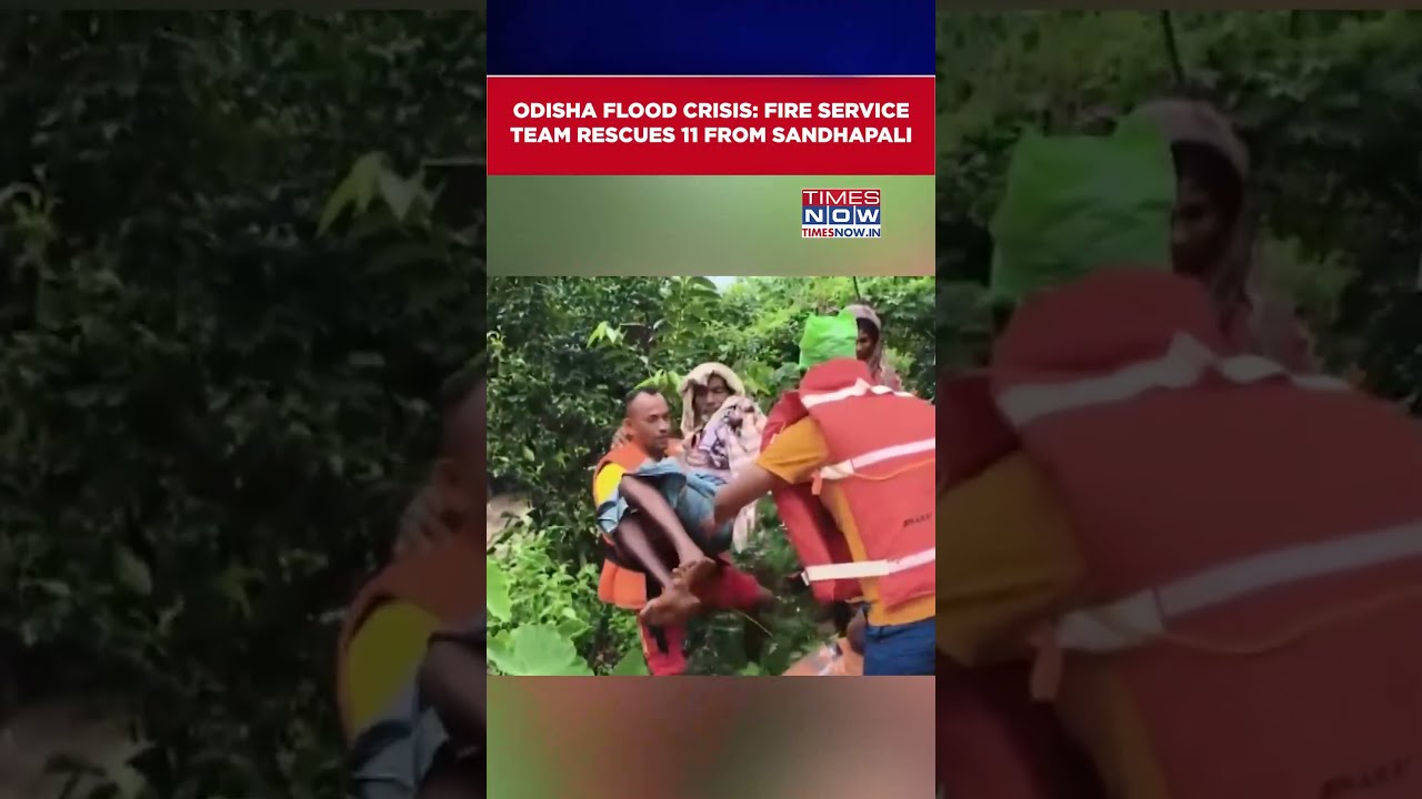 Odisha Flood Crisis: 11 Rescued From Flood-Hit Sandhapali In Kendrapara | Watch #shorts