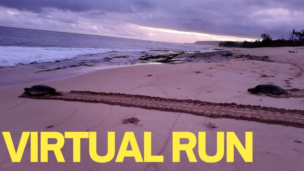 Virtual Running 4K HD Early Morning Calm Empty Beach | Treadmill Running Honolulu Scenery