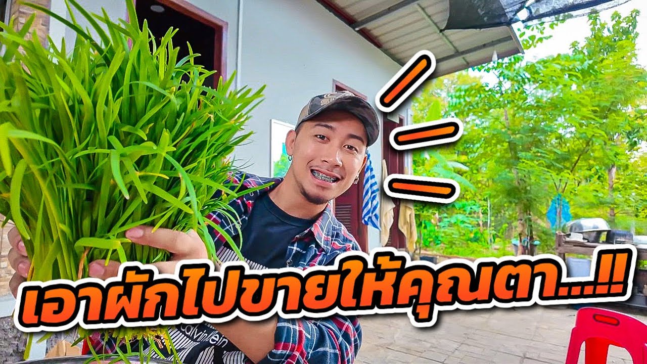 เอาผักไปขายให้คุณตา ผันตัวมาเป็นพ่อค้าขายผักแล้วนะ￼…!!