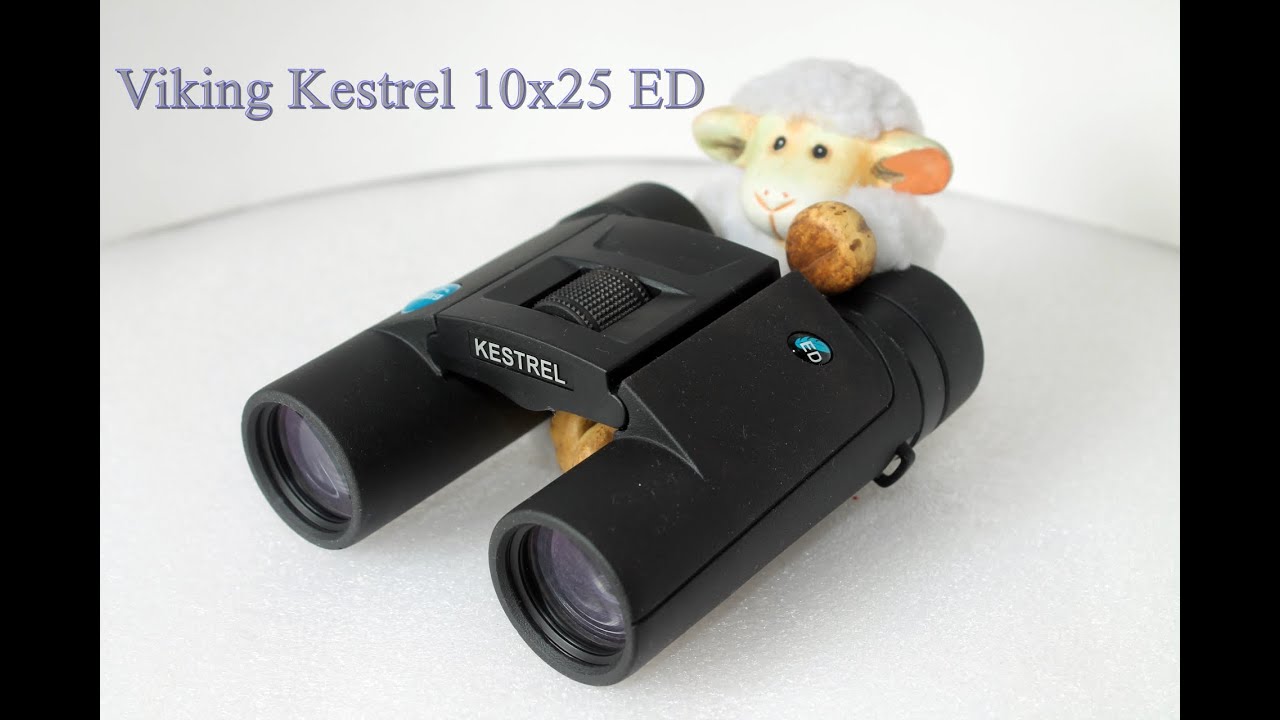 Viking Kestrel 10x25 ED binoculars review . Plus what our customers thought