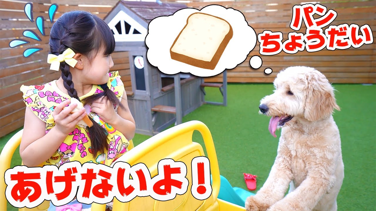 【寸劇】朝ごはんのパン、犬に食べられた！どうしょう？ - はねまりチャンネル