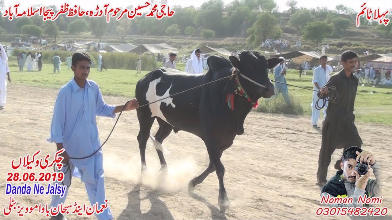 Bull Race 1st Time Chakri 28.6.19