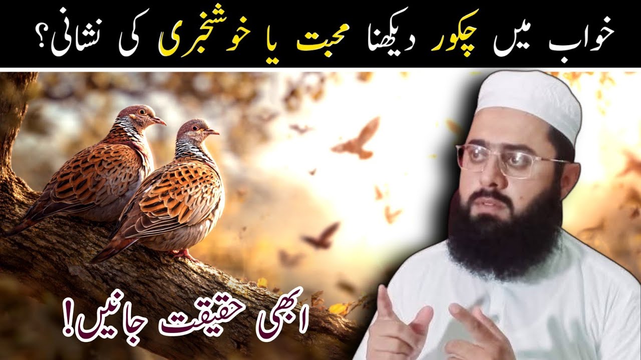 Khwab mein chakor dekhna | Interpretation of seeing chakor in a dream