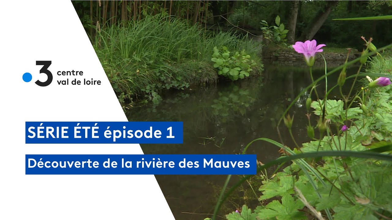Un &eacute;t&eacute; au fil de l'eau : la rivi&egrave;re des Mauves