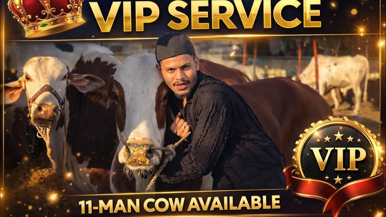 🔥 VIP 11-MAN COW AVAILABLE – ON CALL DEMAND 🔥