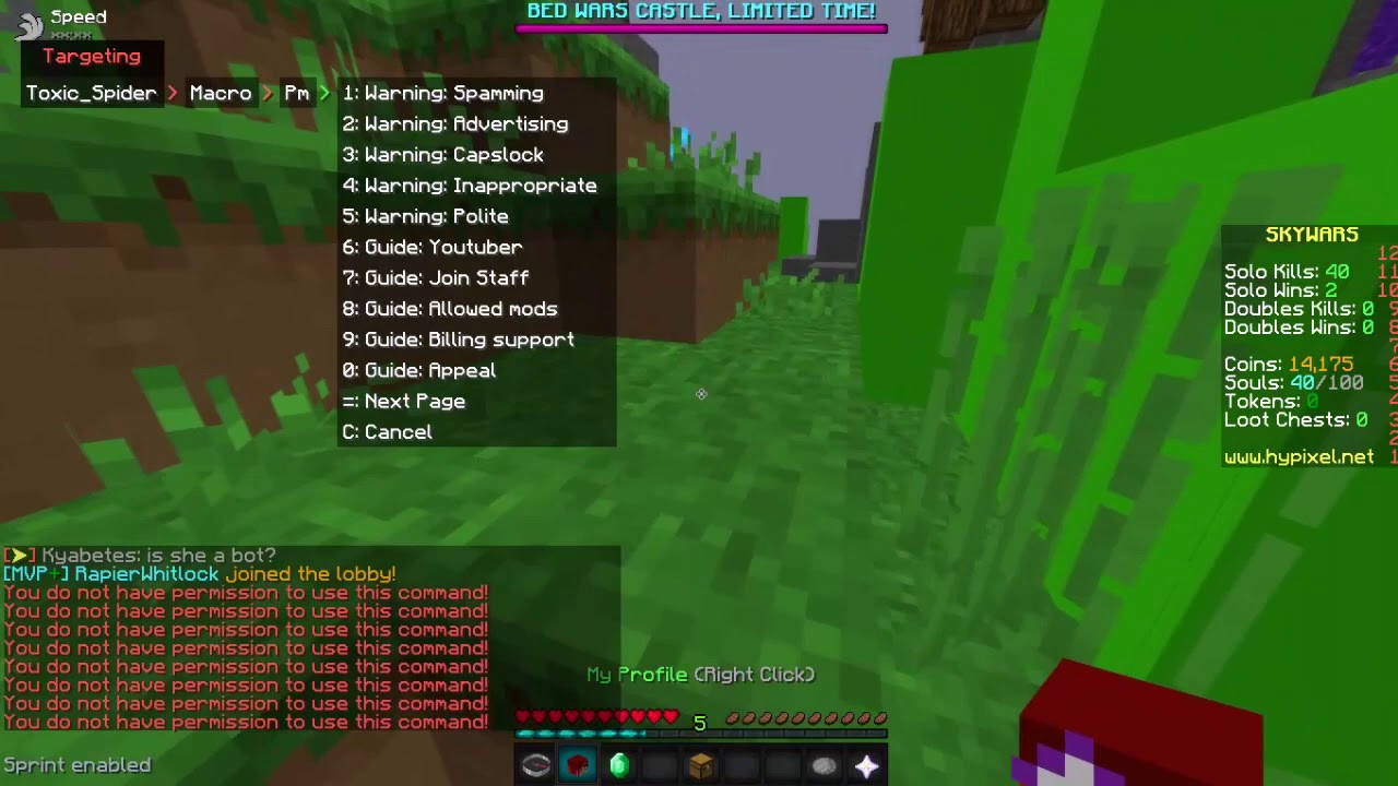 Leaking Hypixel Staff Mod (Lynx) - Reupload