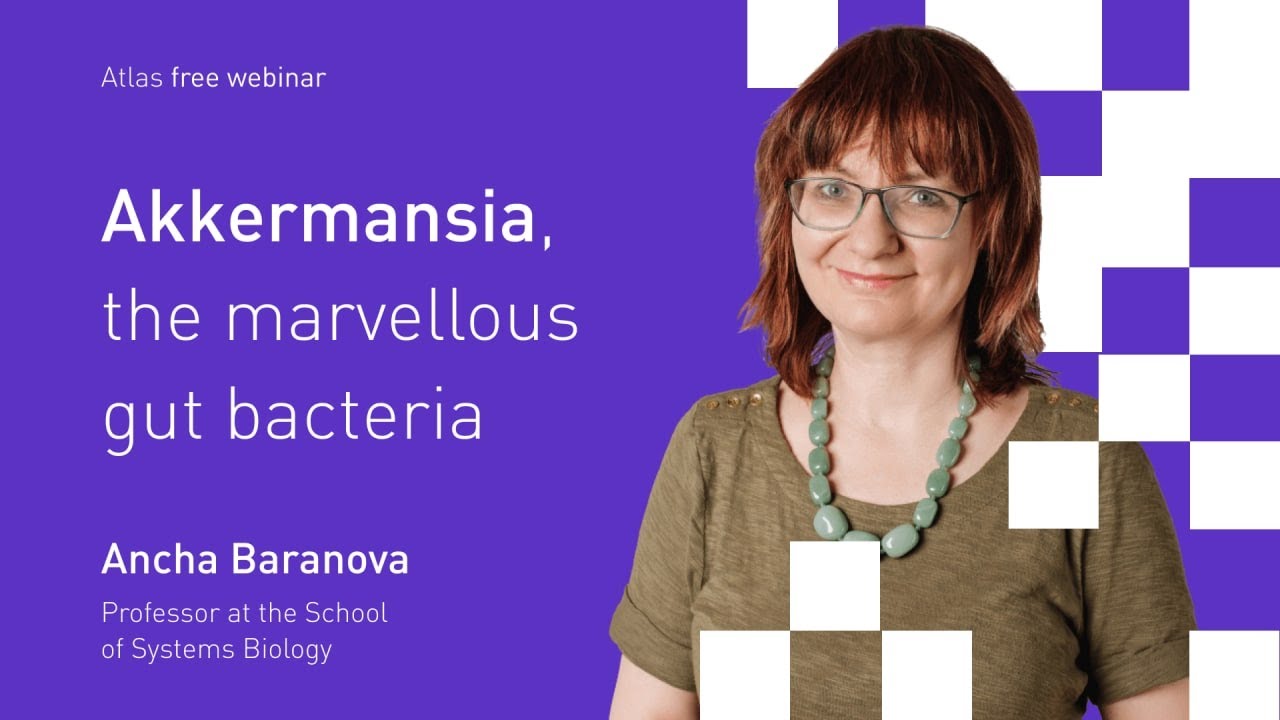 Akkermansia, the gut bacteria: a key to healthy life or dangerous provocateur of autoimmunity?