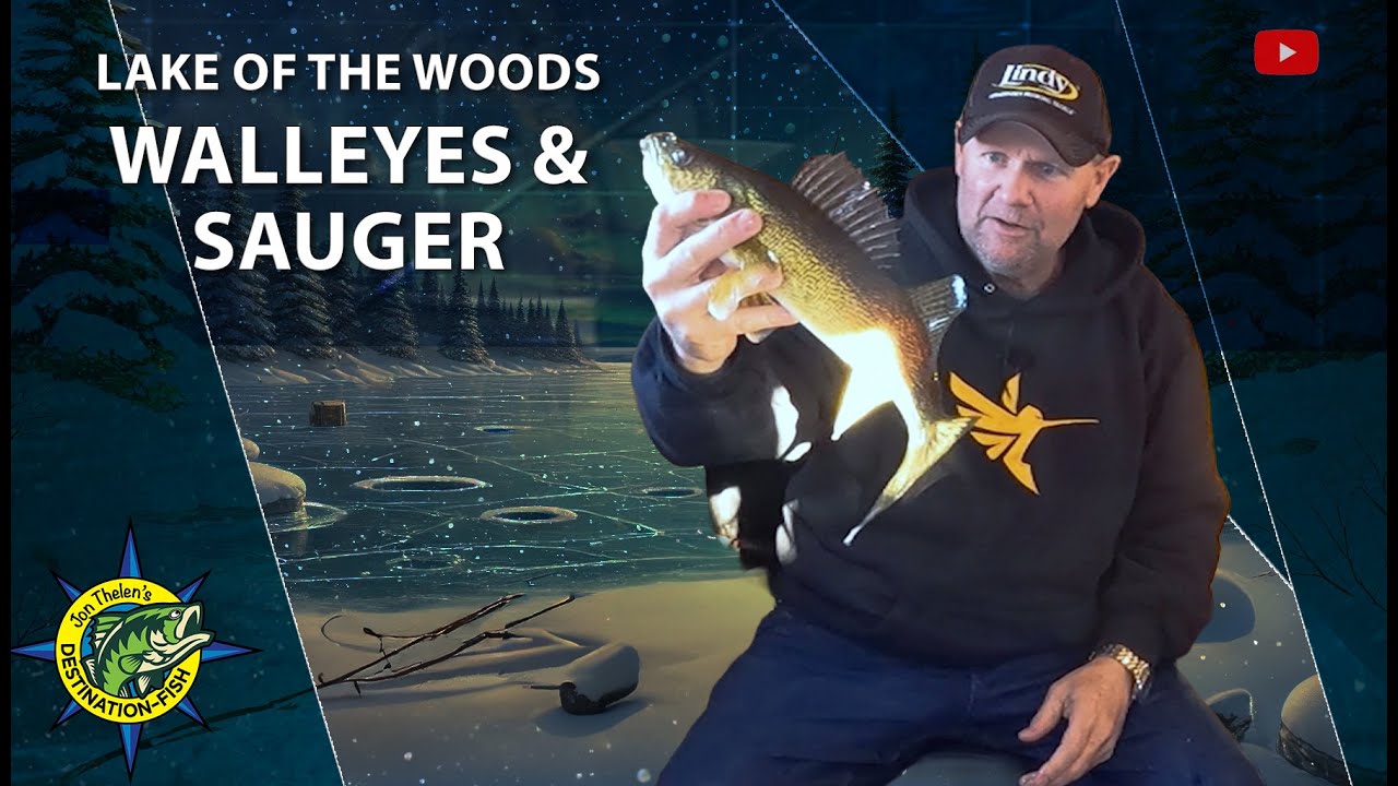 Lake of the Woods Gold: Walleyes, Saugers & Non-Stop Bites