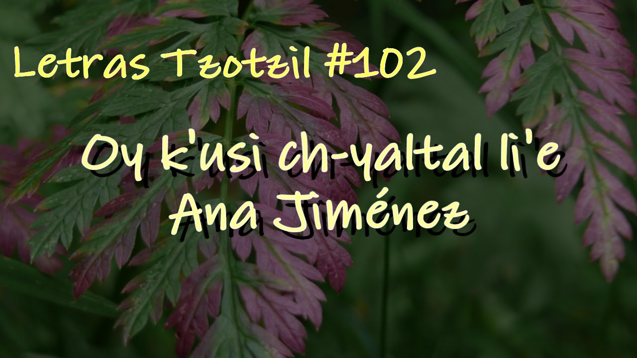 Ana Jiménez - Oy k'usi ch-yaltal li'e / Letras Tzotzil #102