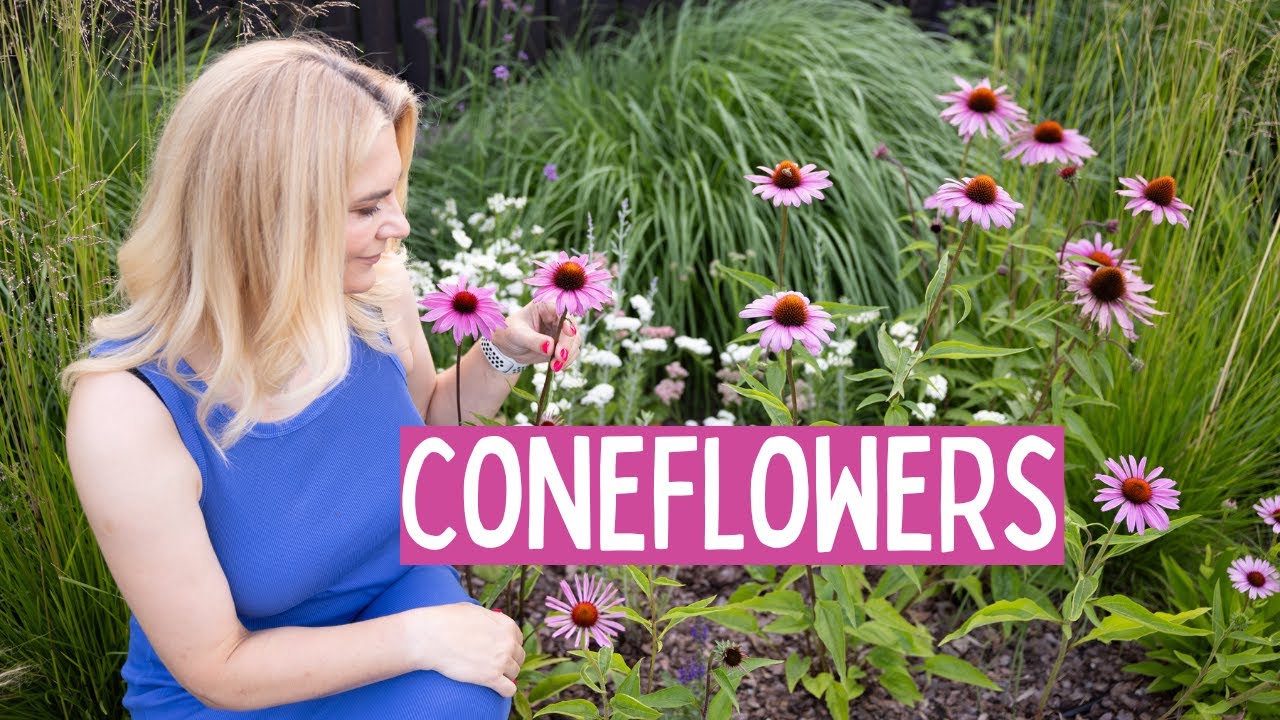 This Perennial Should Be Planted in Every Garden - Find Out Why! | Garden with Marta