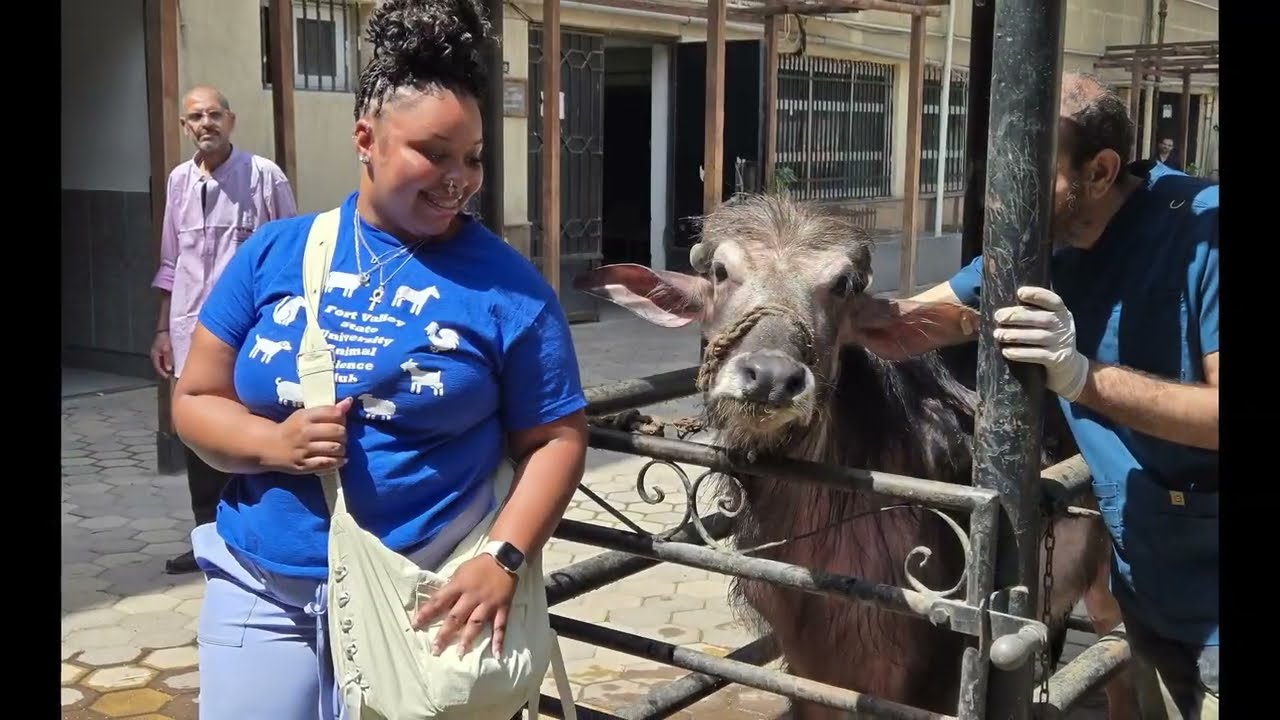 FVSUag animal science graduate students and research faculty travel to Egypt