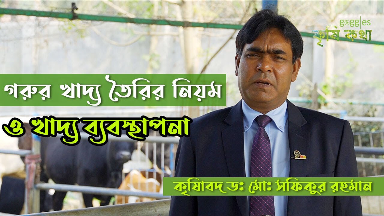গরুর খাদ্য তৈরির নিয়ম ও খাদ্য ব্যবস্থাপনা | গরু লালন-পালন পদ্ধতি  | How To Making Cow Feed |কৃষিকথা