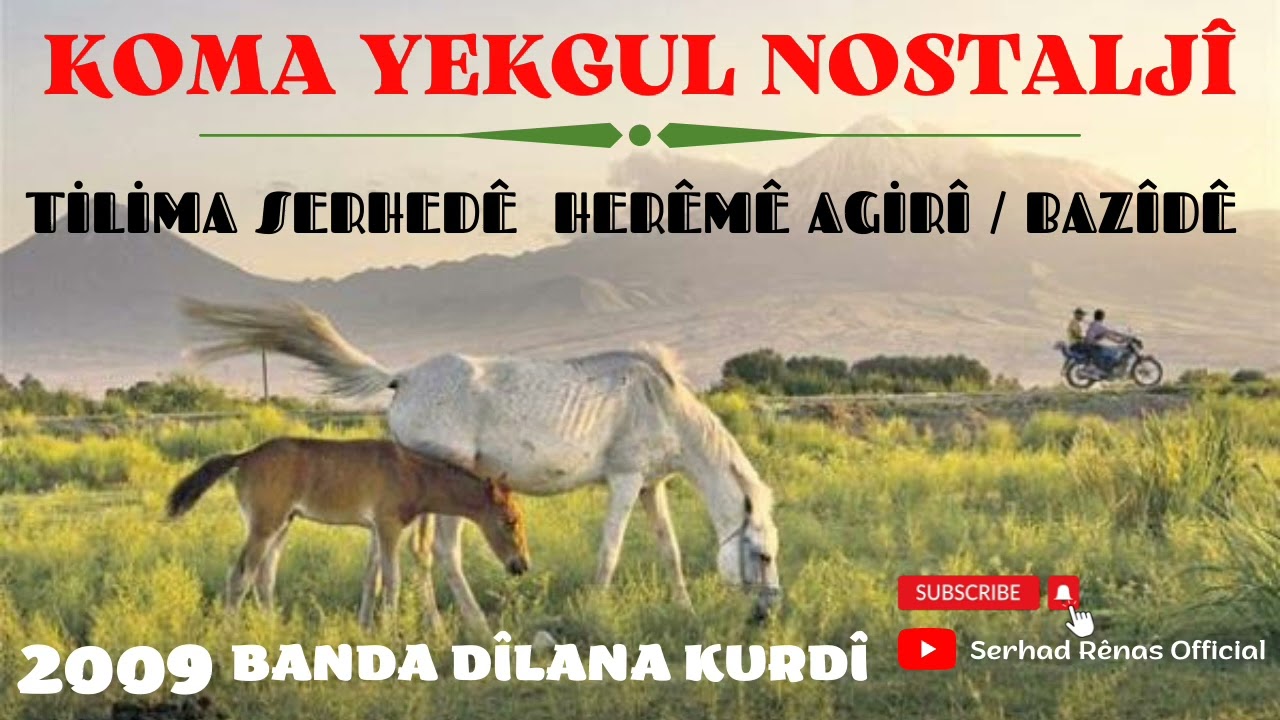 Birgül Müzik - Tilima Kurdî Bazîdê 2009
