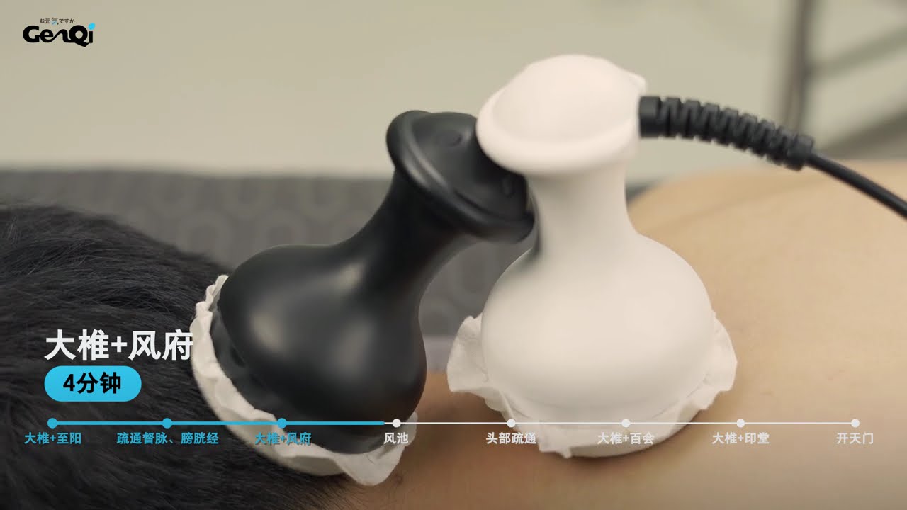 GenQi BES Massage Module 1 - Head Care 头部保养