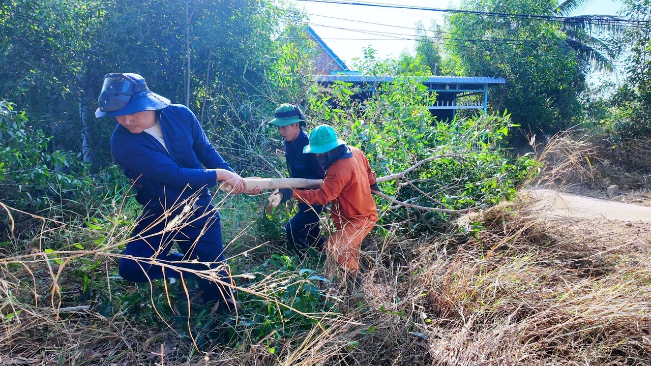 This Place Was COMPLETELY Swallowed by Nature — The Rescue Begins