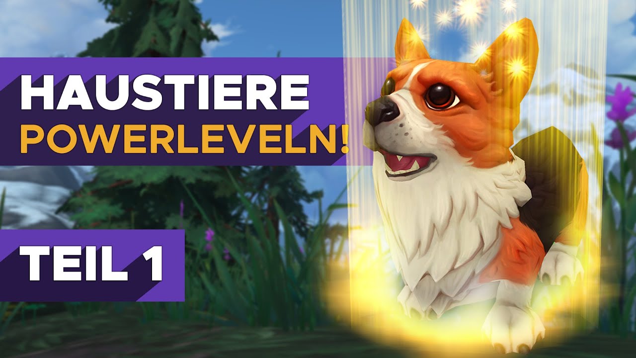 Haustiere POWERLEVELN 🐾 mit Legion Weltquests | BFA UPDATE | Teil 1/2 - Haustierkampf Guide