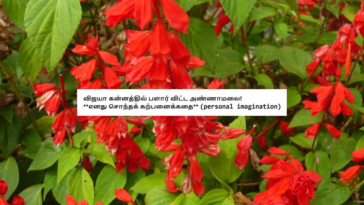 விஜயா கன்னத்தில் பளார் விட்ட அண்ணாமலை!     **எனது சொந்தக் கற்பனைக்கதை** (personal imagination)