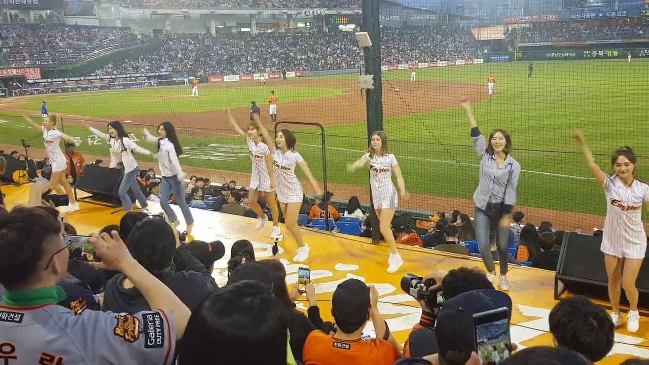팬이되어돌아온 전직치어리더들과 응원하는모습!!ㅠㅠㅠㅠㅠ