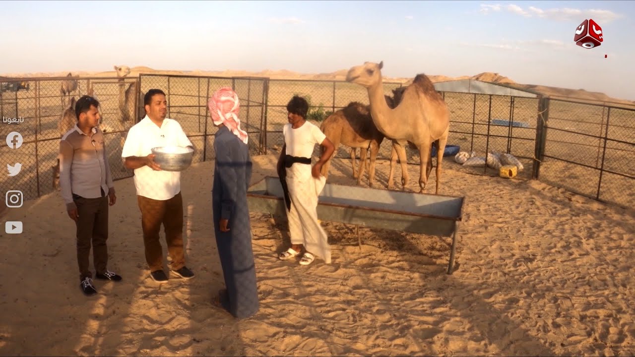 هكذا يعيش البدو في المهرة وهذا هو كرمهم المشهور