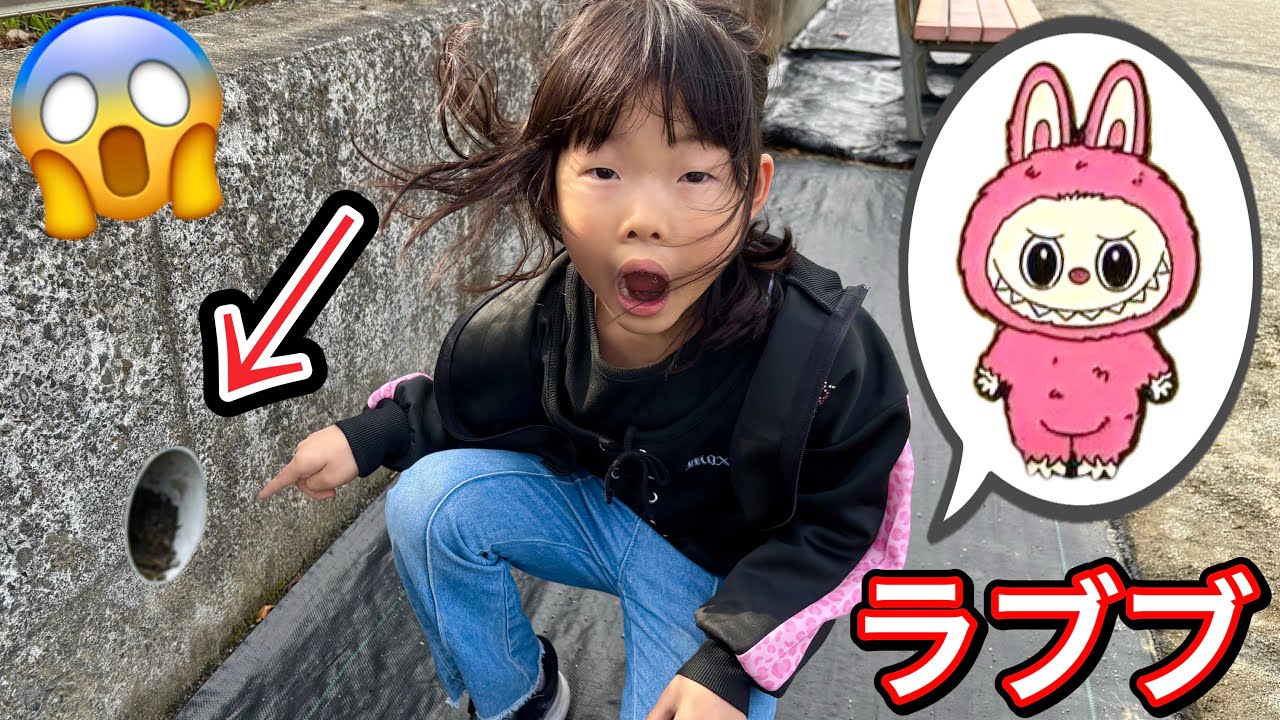 公園の穴にラブブ⁉️誰かの忘れ物⁉️拾ってみたらまさかの・・・・・・😱💦