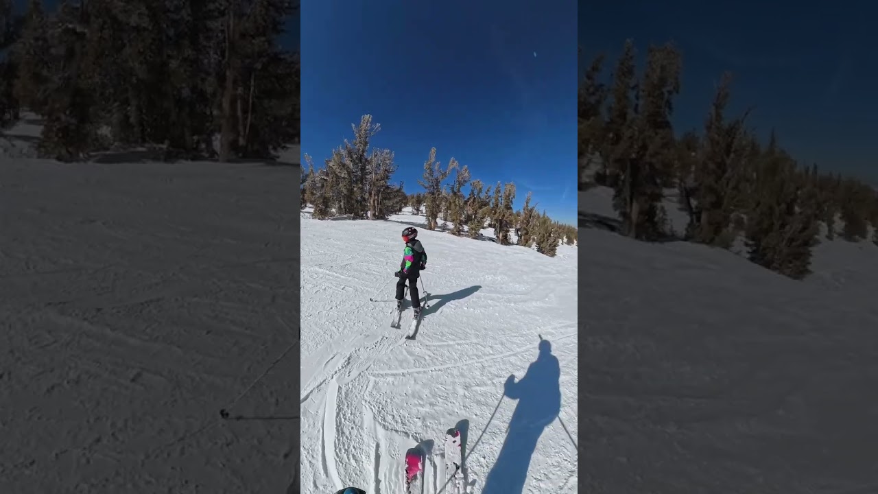 Bluebird Day at Heavenly