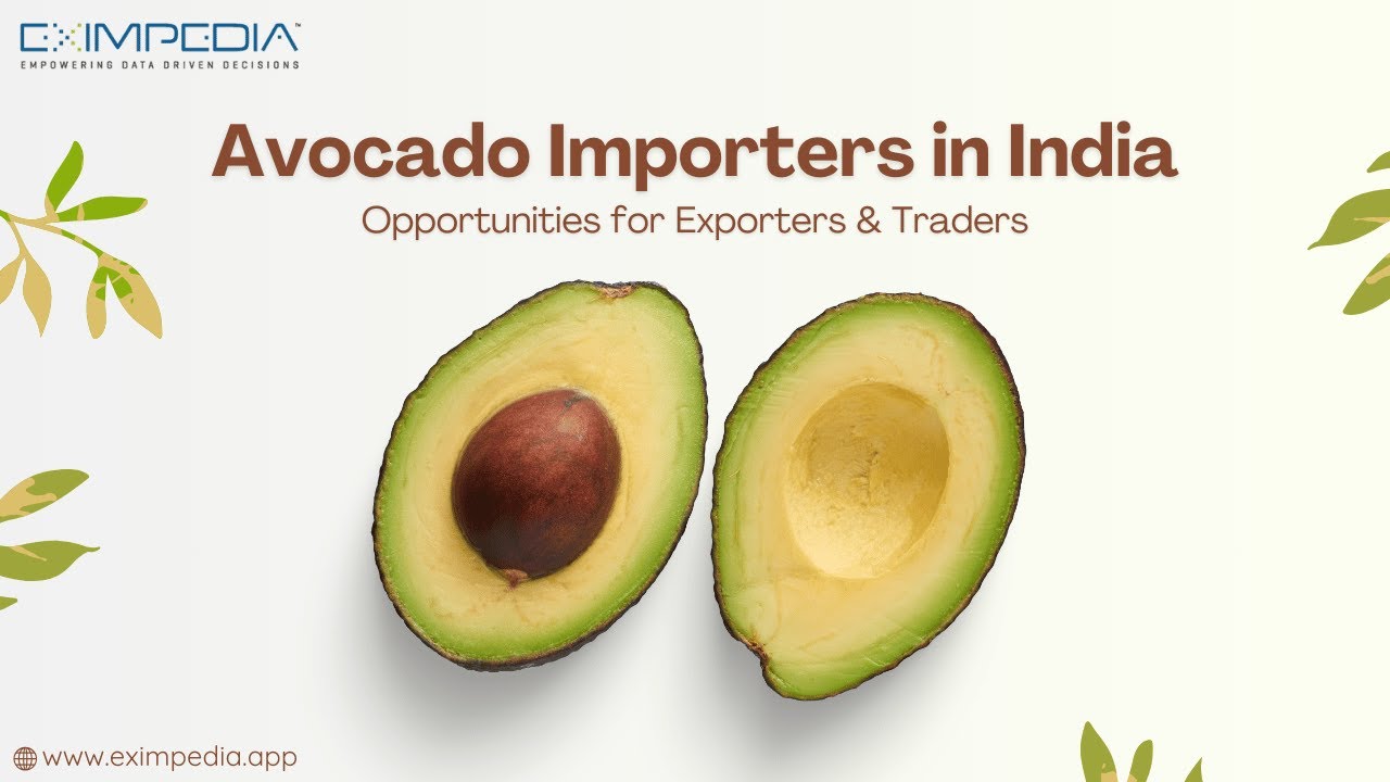 Avocado Importers in India: Opportunities for Exporters & Traders