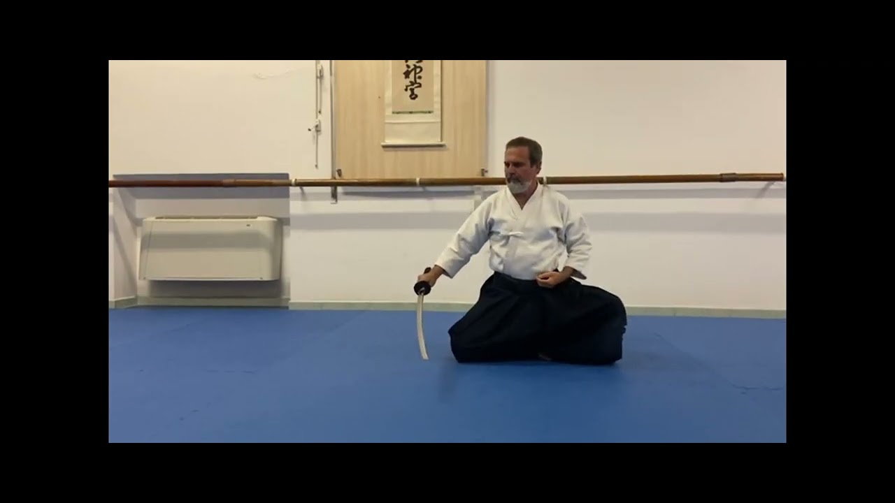 Hoki Ryu - Iaido 1-2-3 Kata