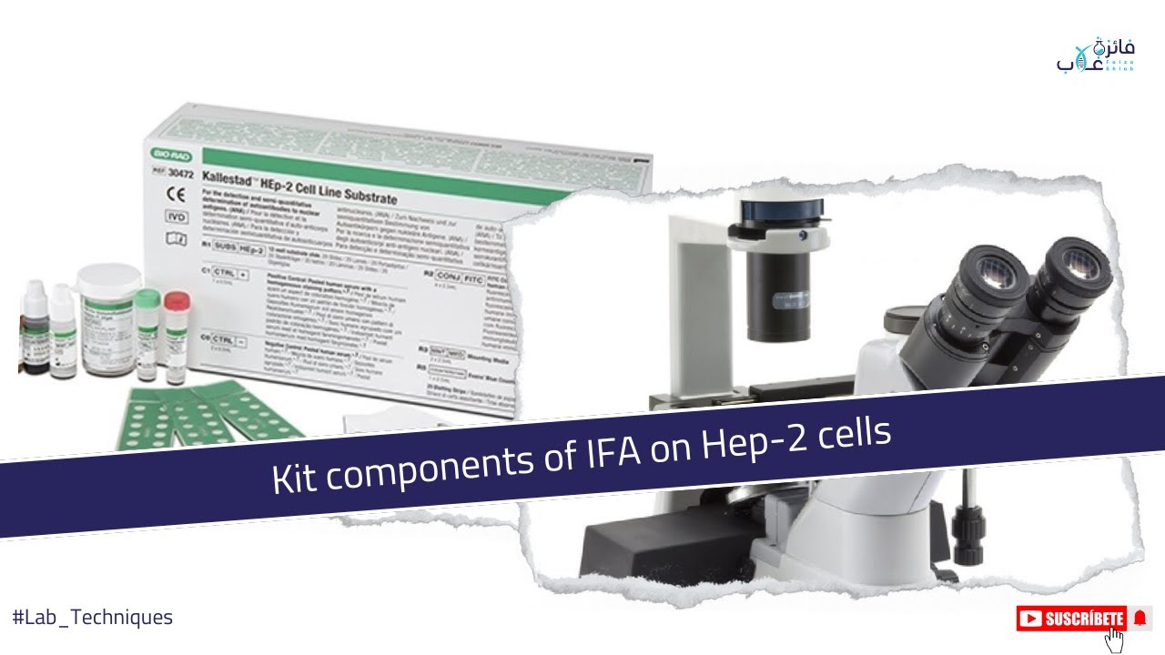 Kit components of IFA on Hep-2 cells