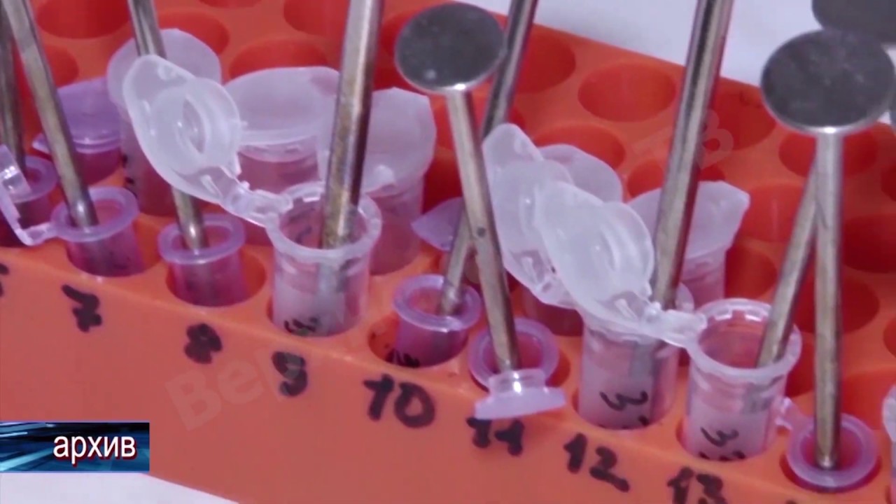 Прививки от клещевого энцефалита