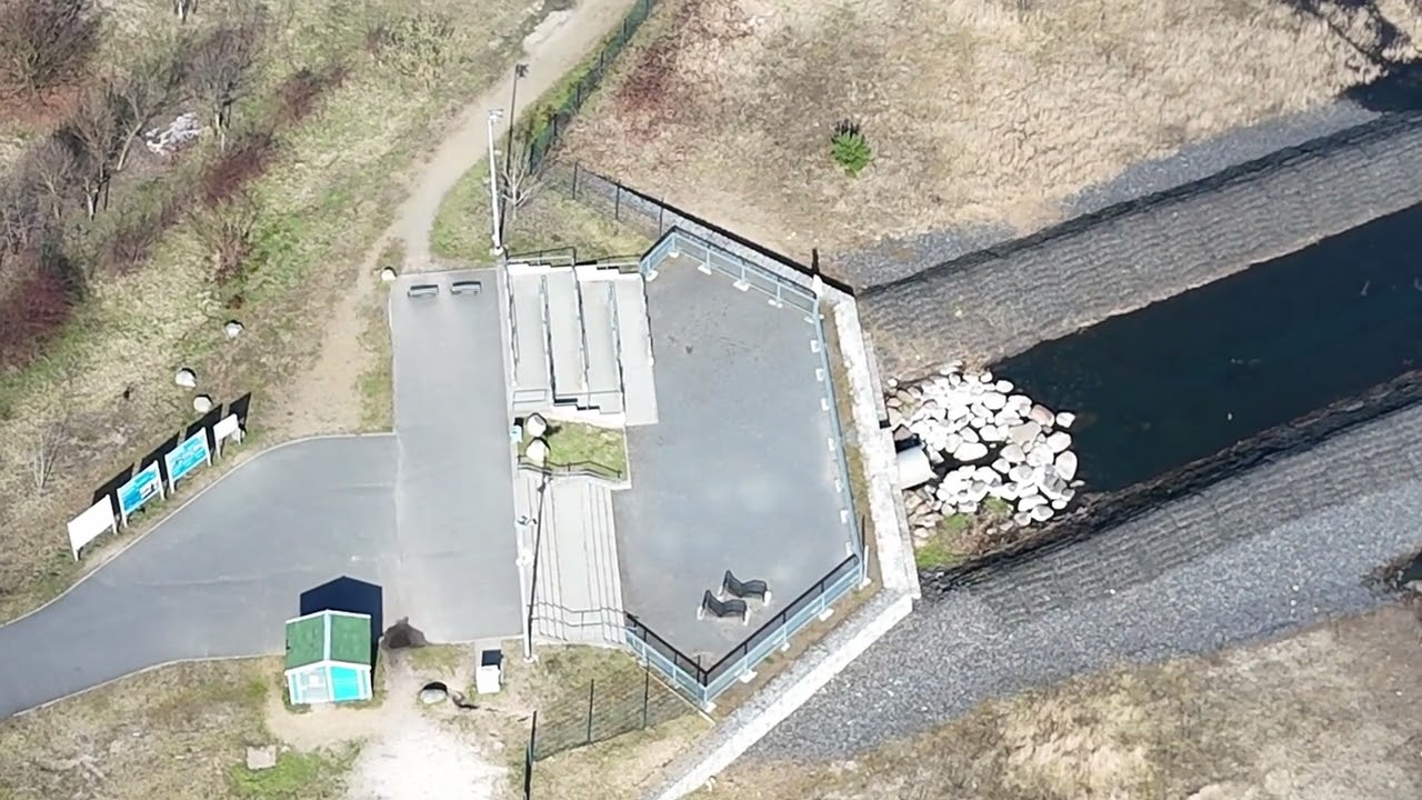 Cottbuser Ostsee am Einlaufbauwerk. 17.03.26