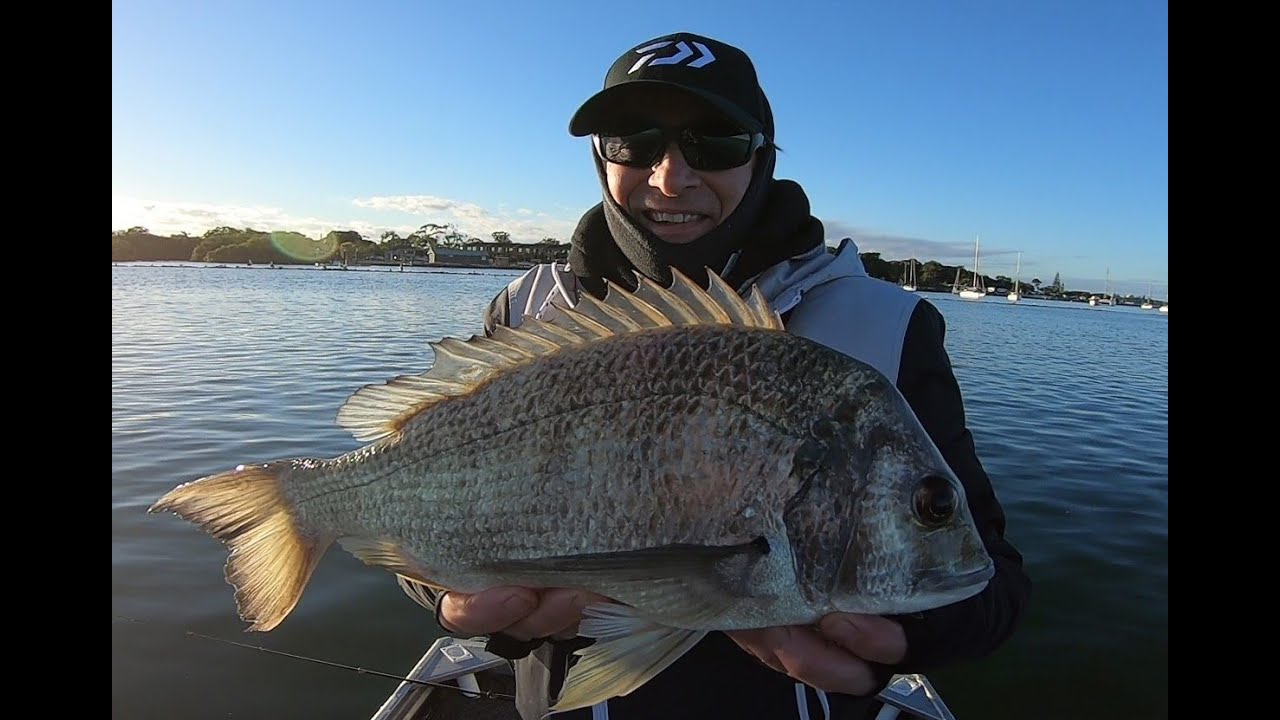 Yamba Northern NSW Fishing 2021
