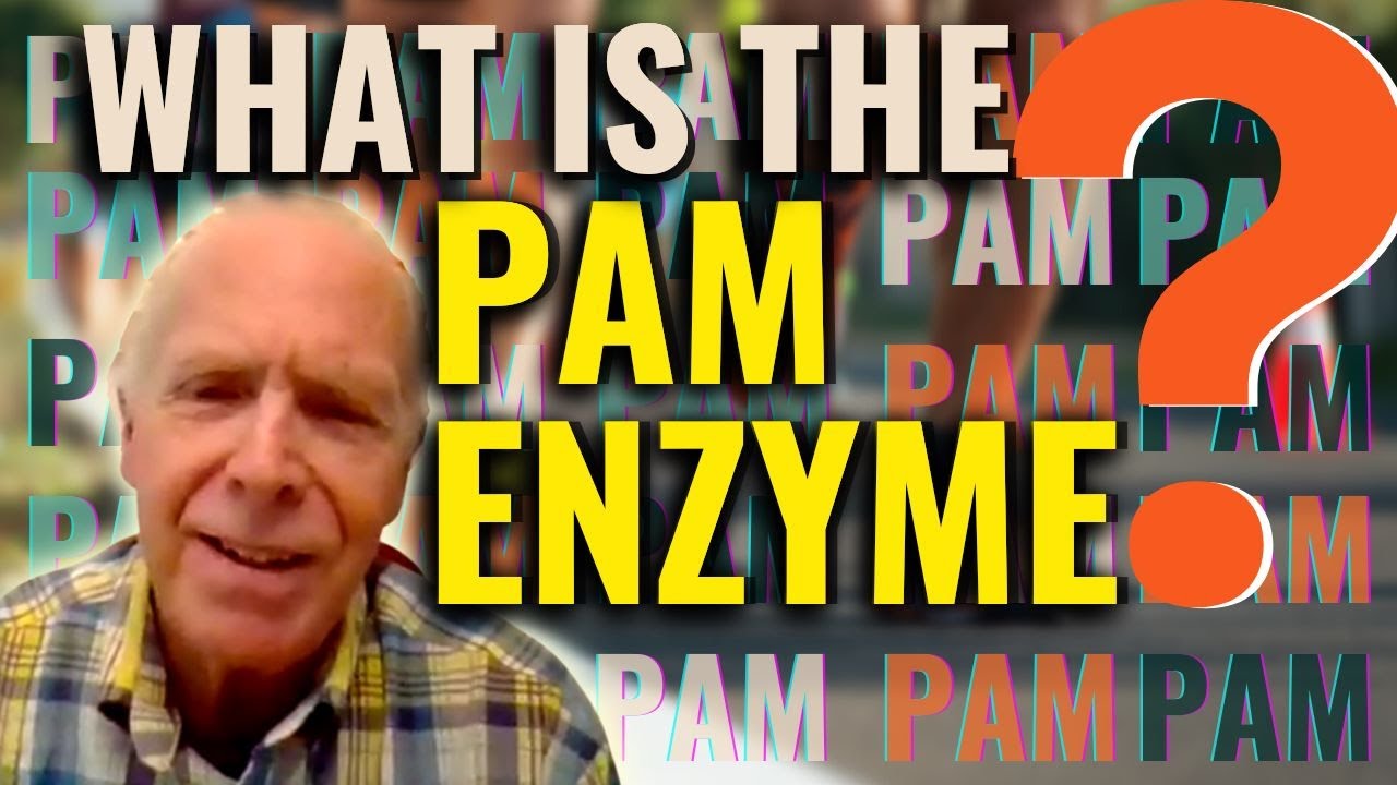 Cure Your Fatigue Expanded: How the PAM Enzyme Is Involved in Energy Production 101