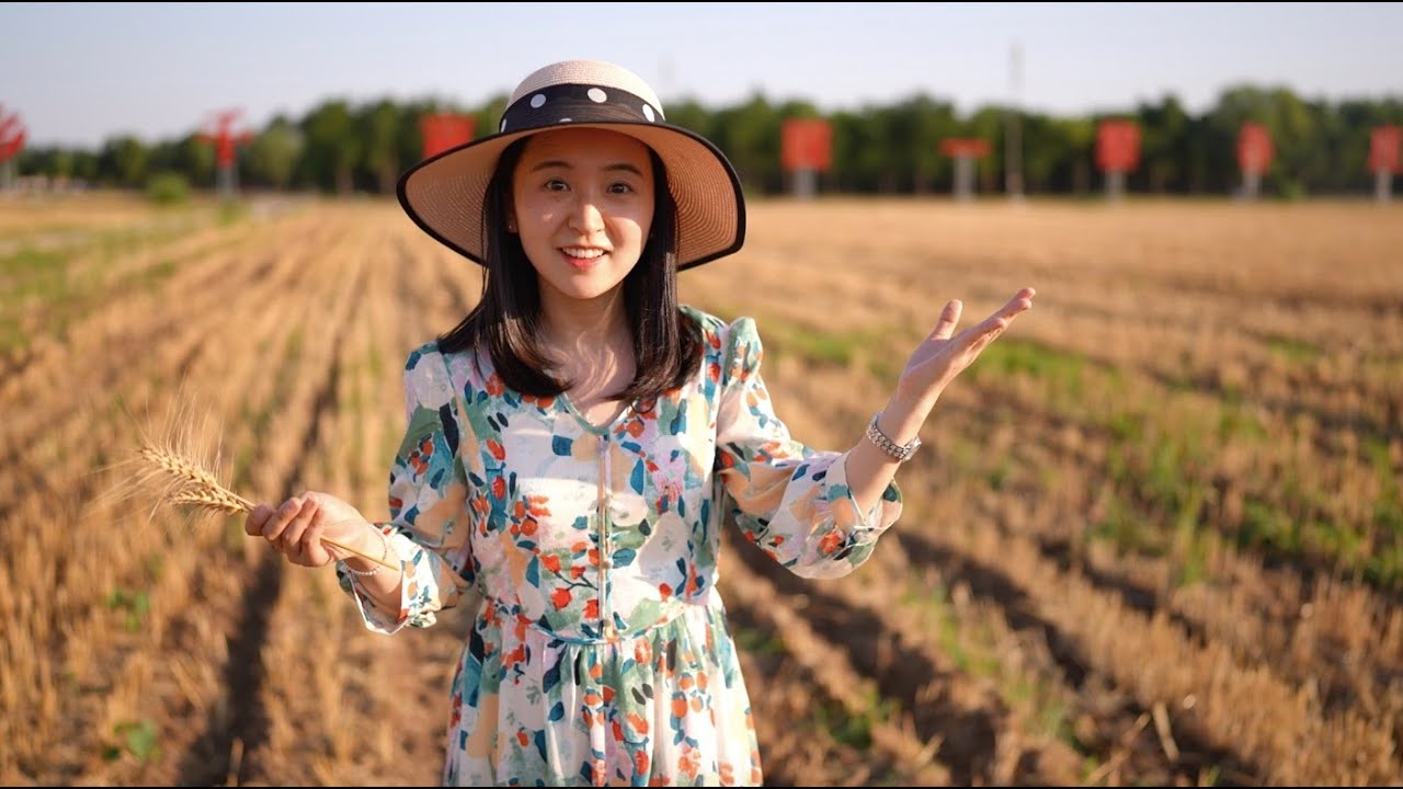 Arable land protection in China with satellites technology and field-leader policy