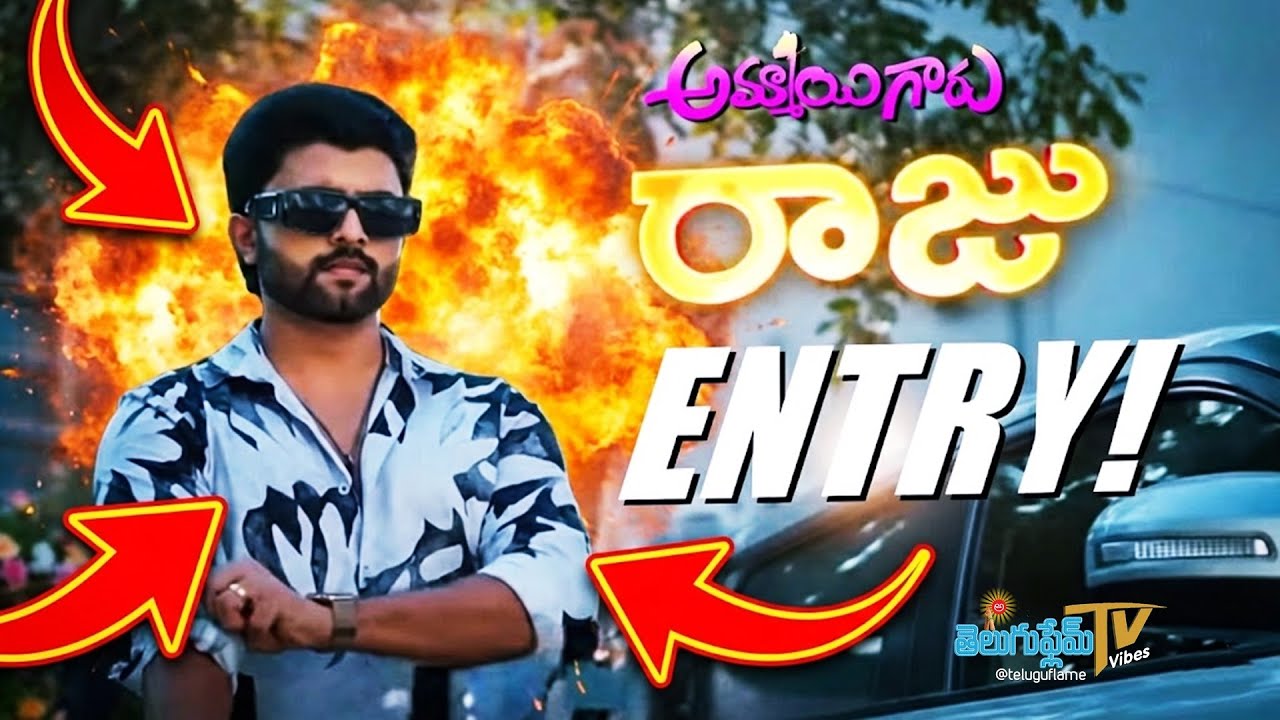 అమ్మాయి గారు 