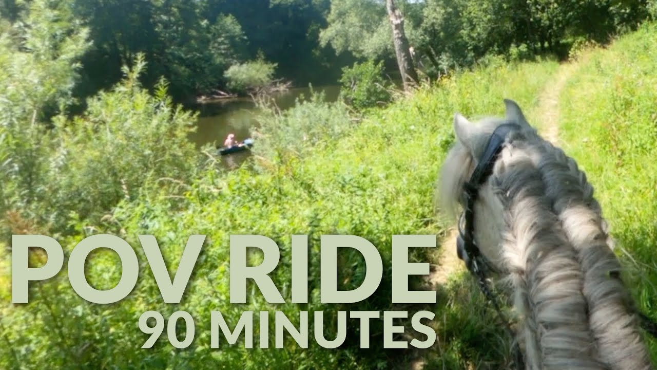 90 Minutes of ASMR Horse Riding Through Forestry and Along The River