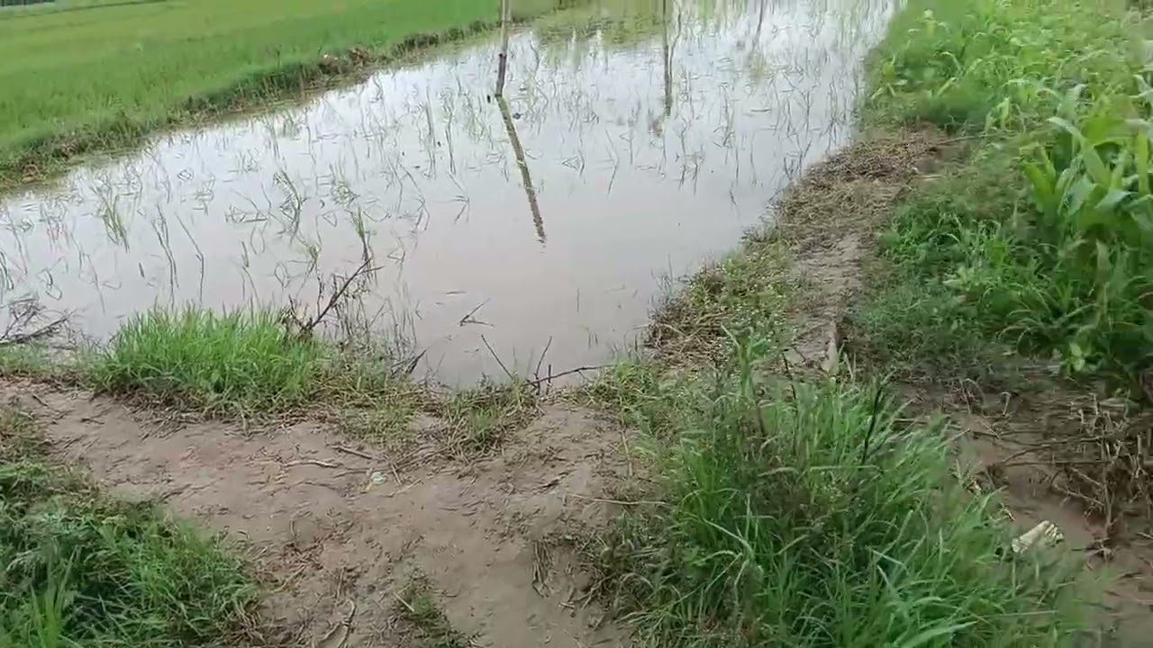 Barish##💝💝