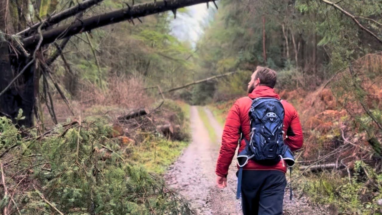 Exploring Wykeham Forest