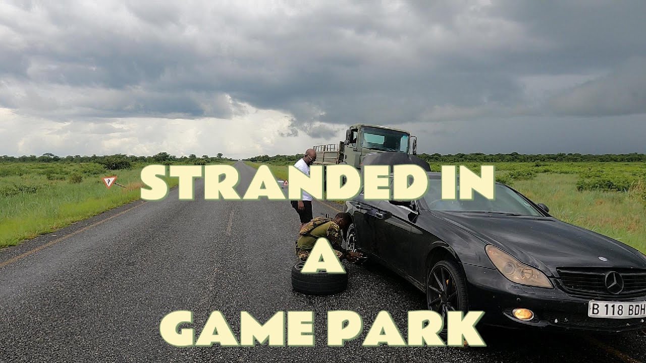 STRANDED AT THE MIDDLE OF CHOBE NATIONAL PARK