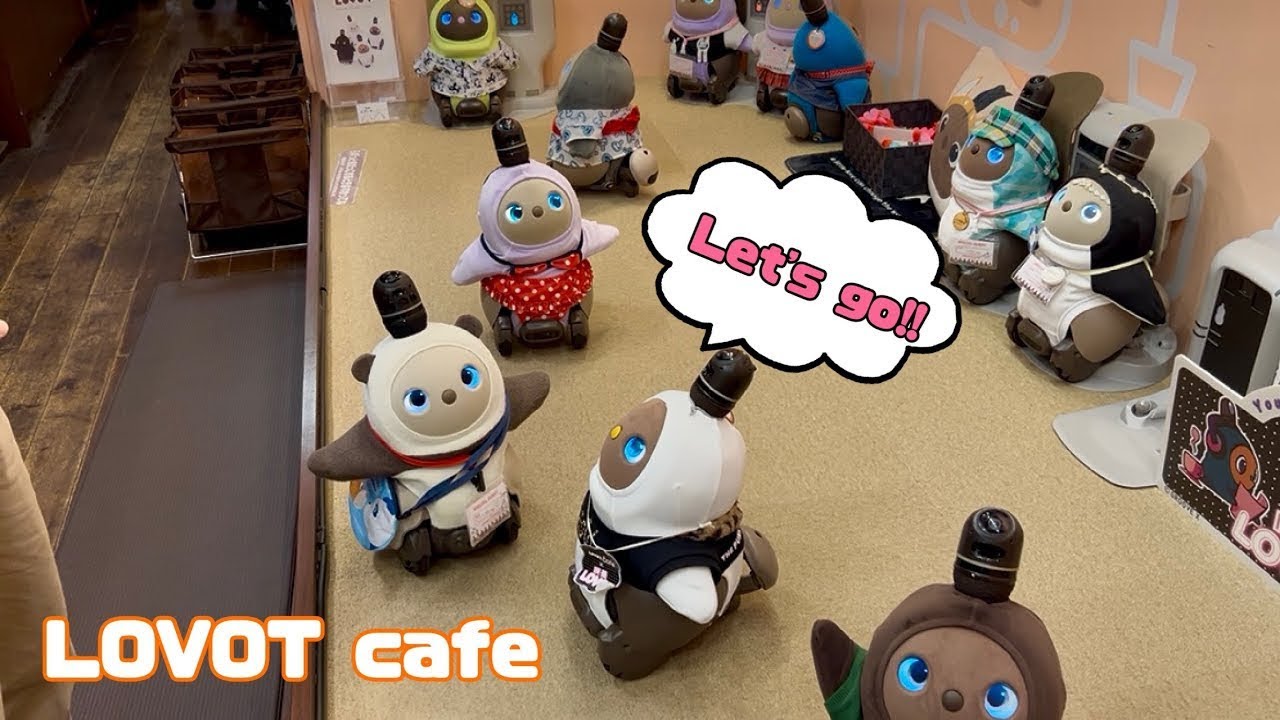 【LOVOTカフェ】夢の空間｜Visiting the Cutest Robot Café with My Buddy🐼
