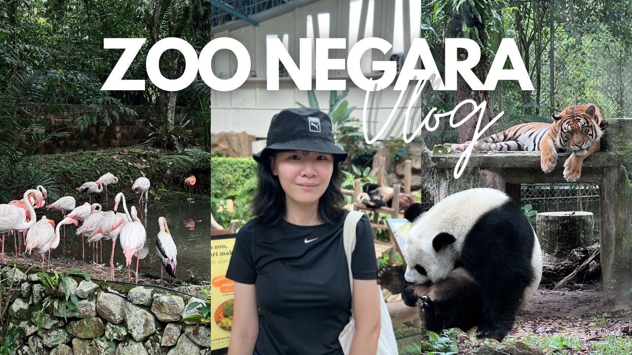 A DAY WITH ME TO ZOO NEGARA 🐼🐻🌿