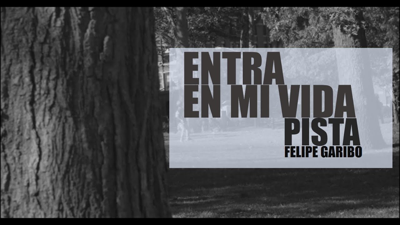 ENTRA EN MI VIDA PISTA FELIPE GARIBO