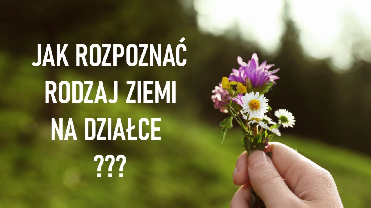 Te chwasty podpowiedzą, jaką ziemię!
