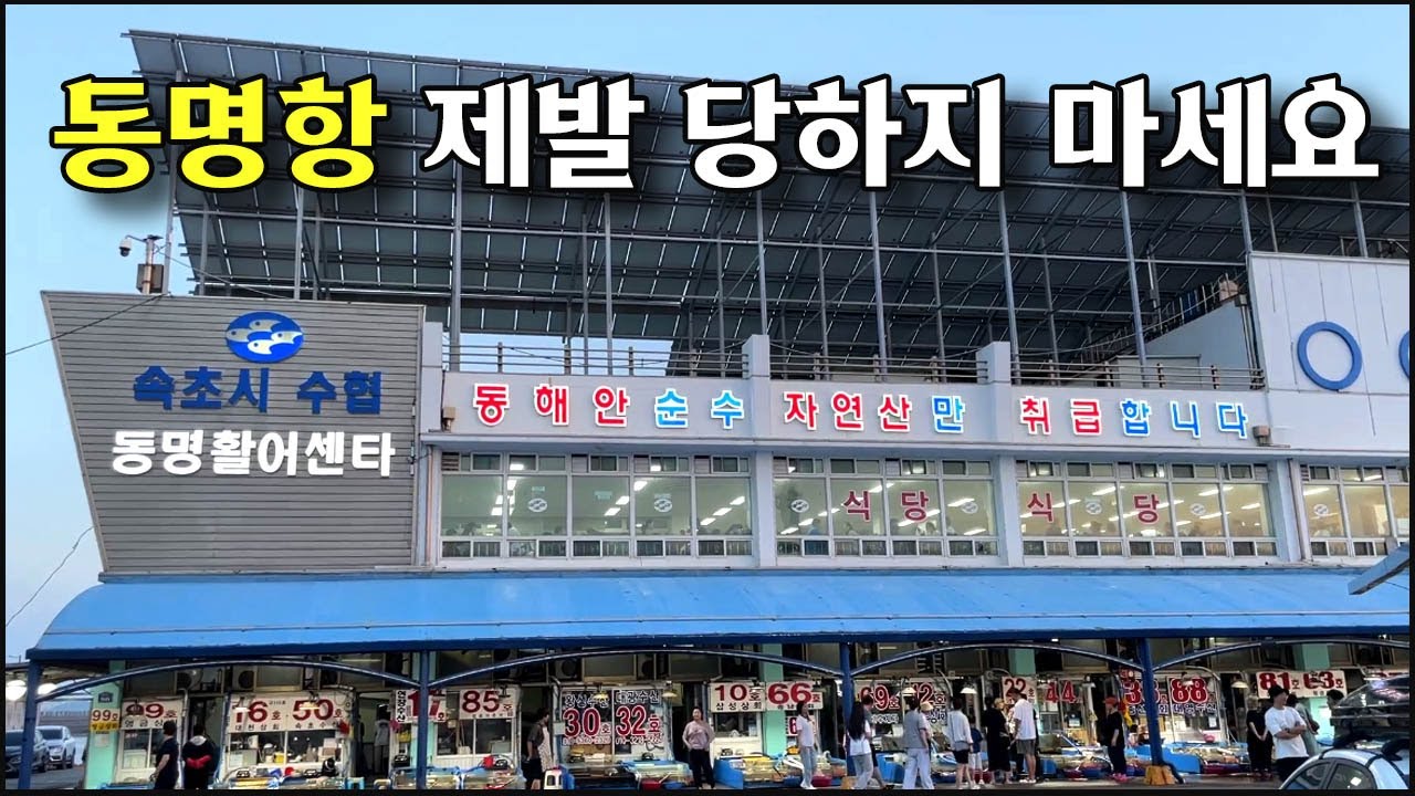 바가지? 호구? 휴가철 속초 동명항 활어센터 호갱되지 말고 이 영상만 꼭 보고 가자!!!