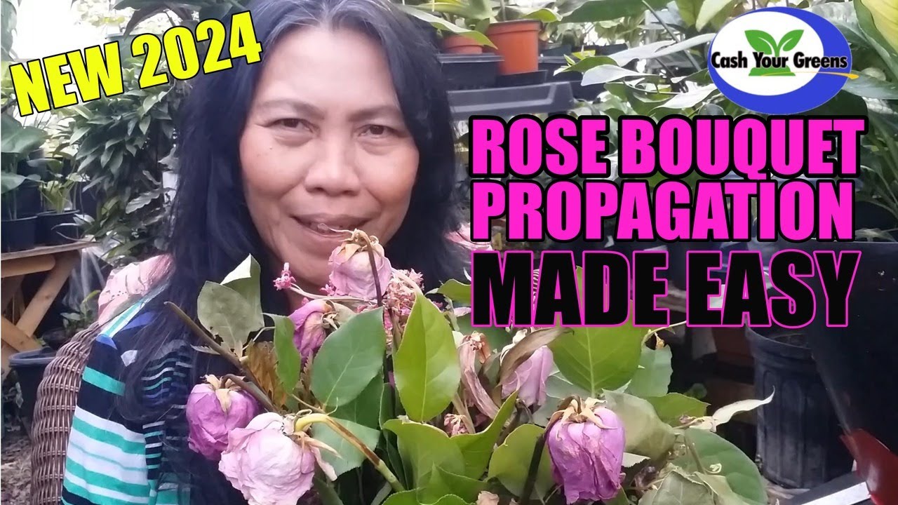 ROSE BOUQUET PROPAGATION - Made Super Easy