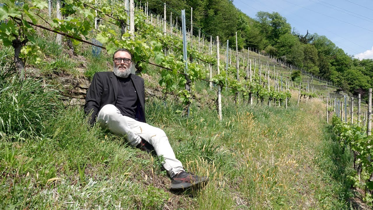 Cantine Aperte 2022 - Per grappoli di qualit&agrave;, viticoltura eroica