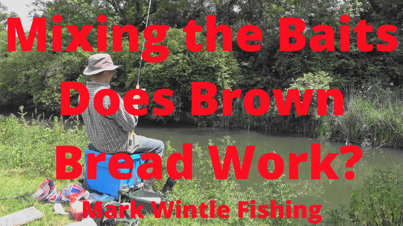 Mixing the Baits - Does Brown Bread Work?