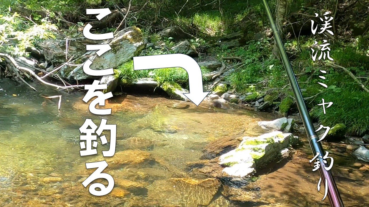 「こんなポイント」のヤマメ・イワナのアプローチの仕方【渓流ミャク釣り】