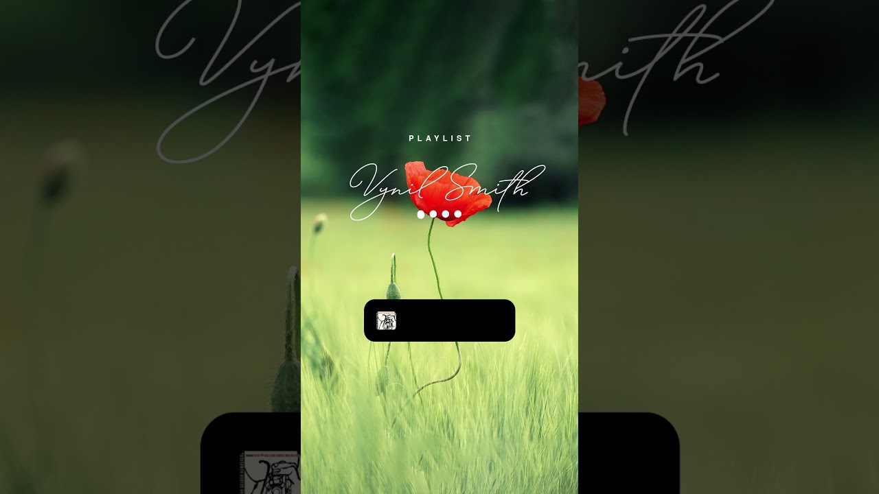 PLAYLIST 🌹 JAZZY한 봄, 따듯한 분위기 한 잔  | 🎧 VYNIL SMITH 