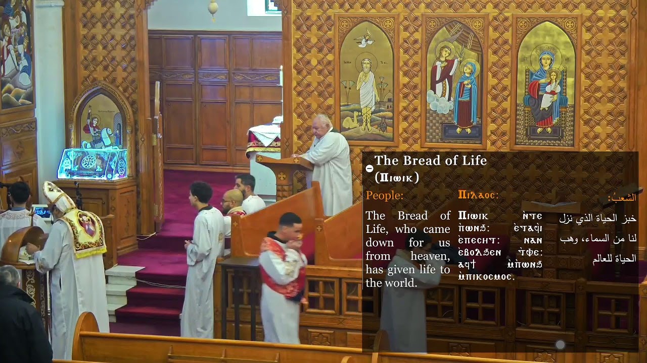 Feb. 8th 2026- Sunday Divine Liturgy @ St Mary's Altar